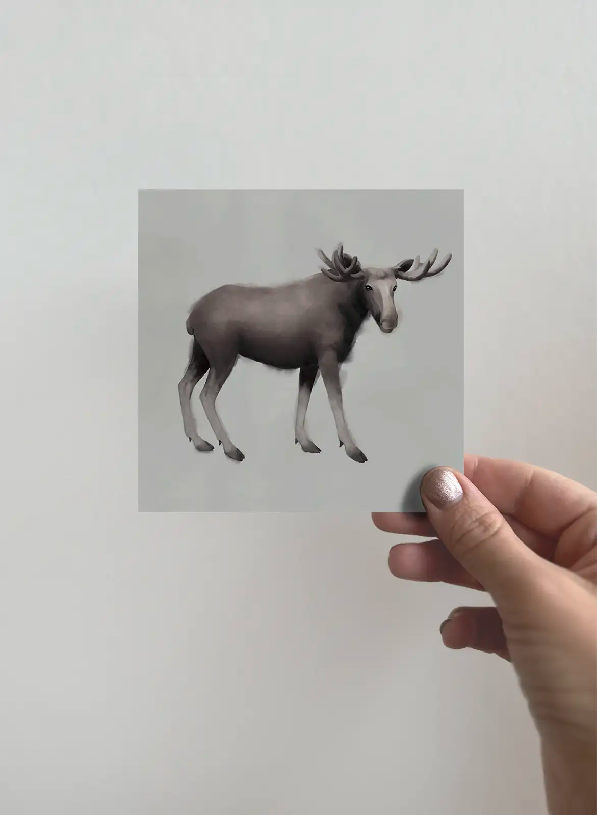 The Moose, 3-pack