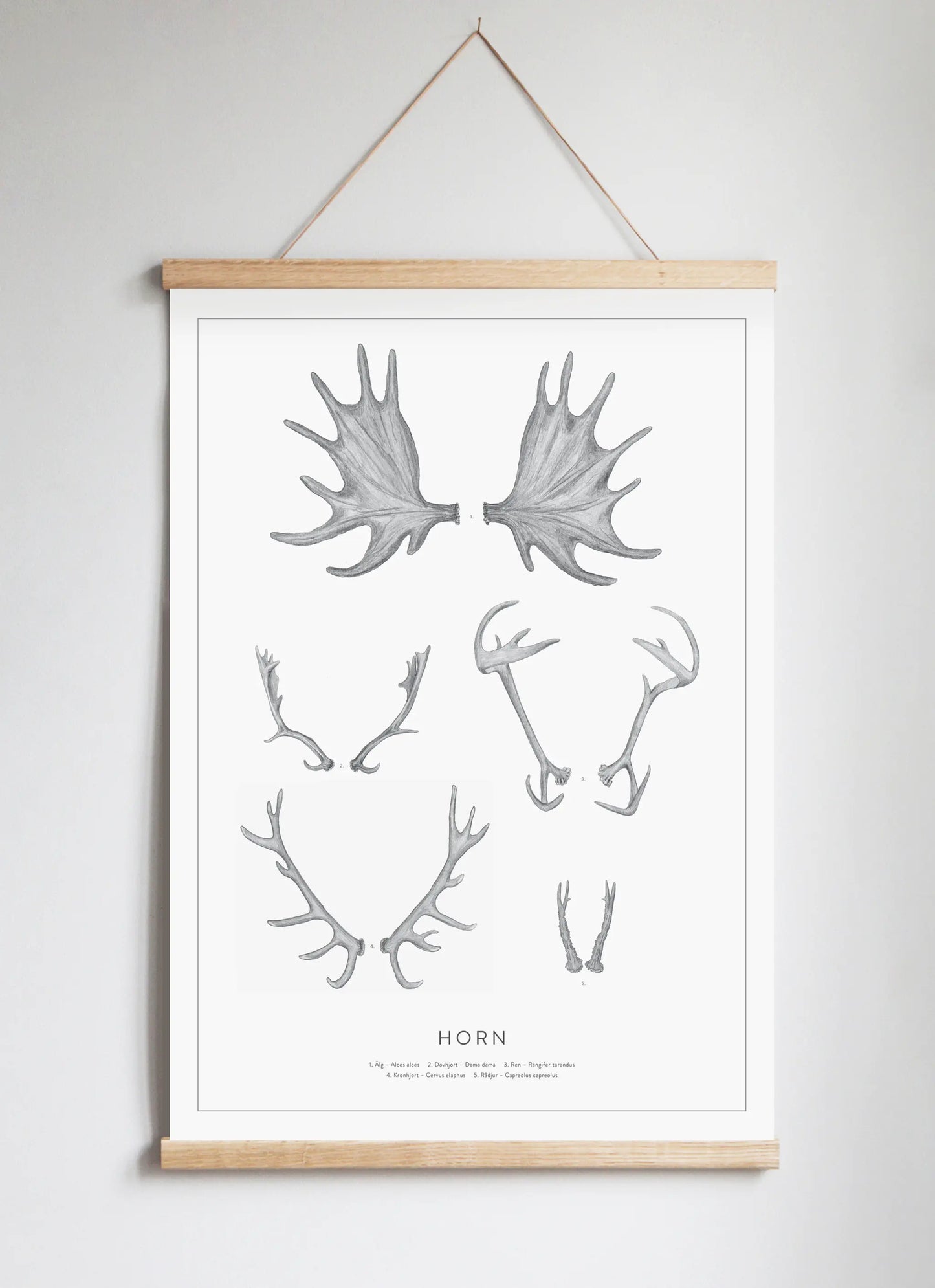 Poster Hanger in Solid Oak