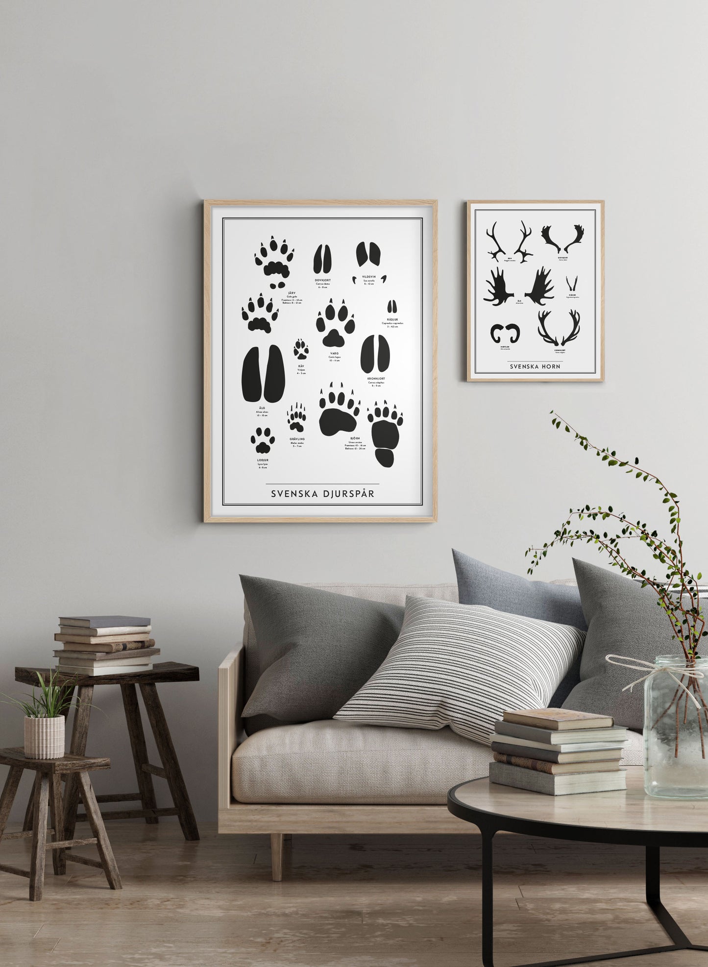 Svenska horn - Swedish Antlers and Horns in Swedish