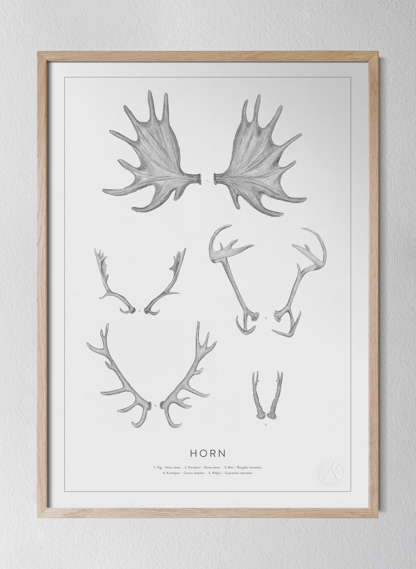 Classic Oak Frame