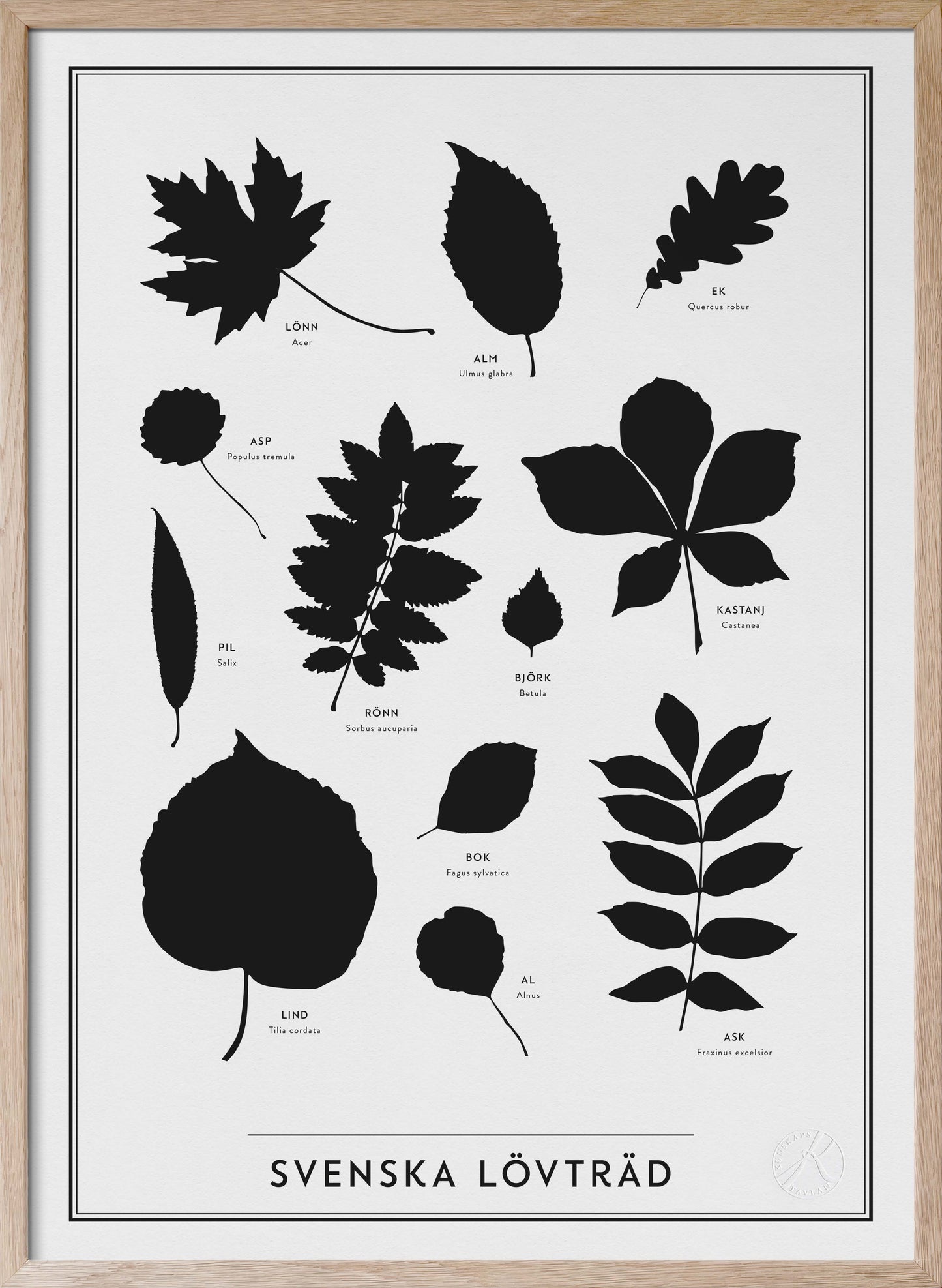 Svenska lövträd - Swedish Leaves in Swedish