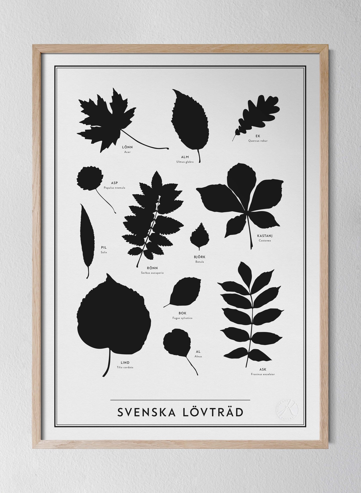 Svenska lövträd - Swedish Leaves in Swedish