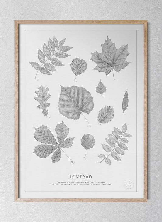 Classic Oak Frame