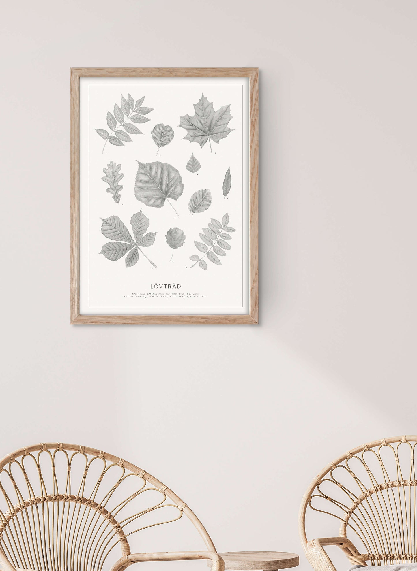 Lövträd - Leaves in Swedish