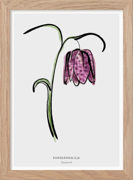 The Province Flower of Uppland - "Kungsängslilja" - In Swedish - Mini print