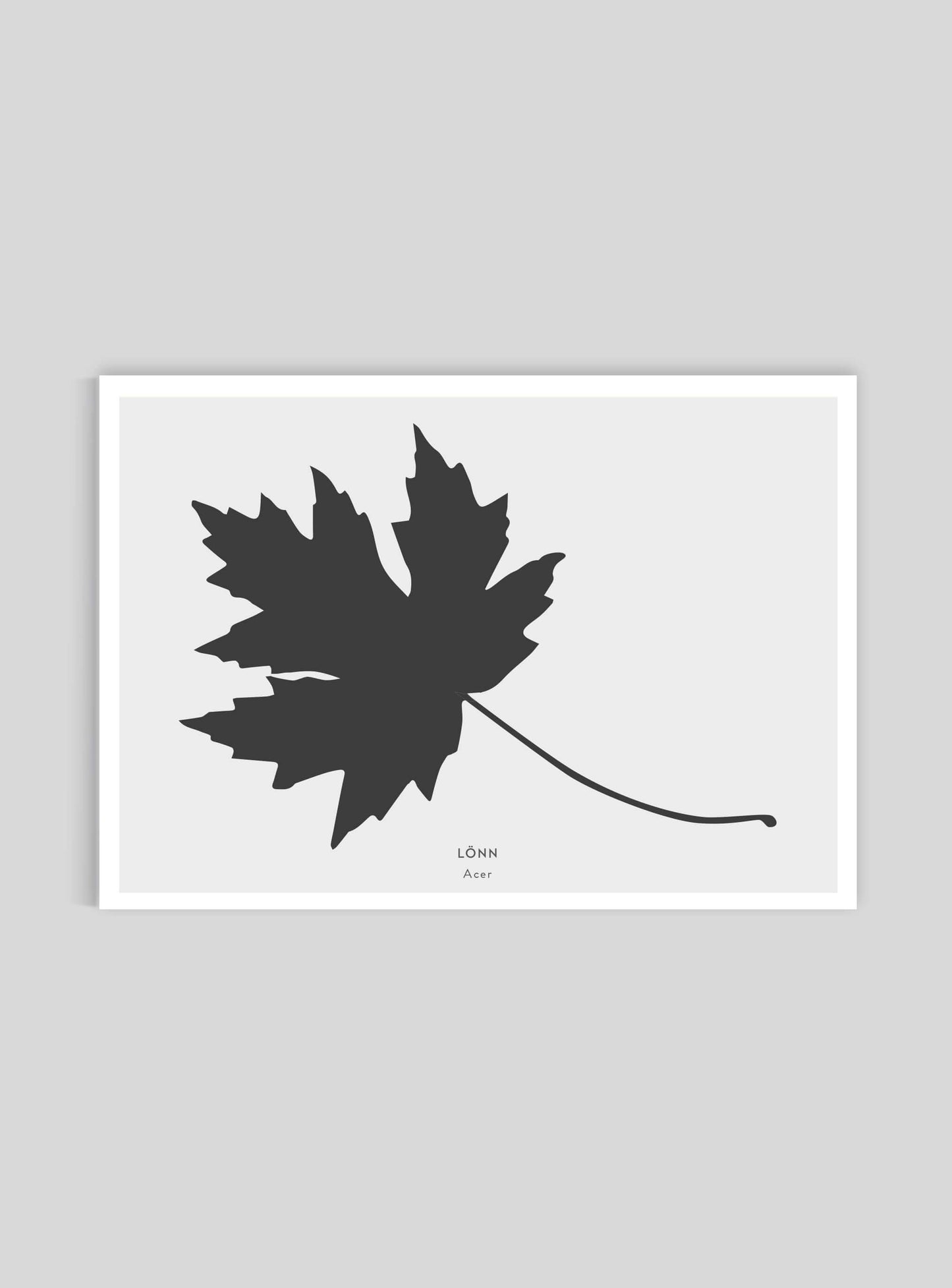 Lönnlöv - Mini print A5 - Kunskapstavlan