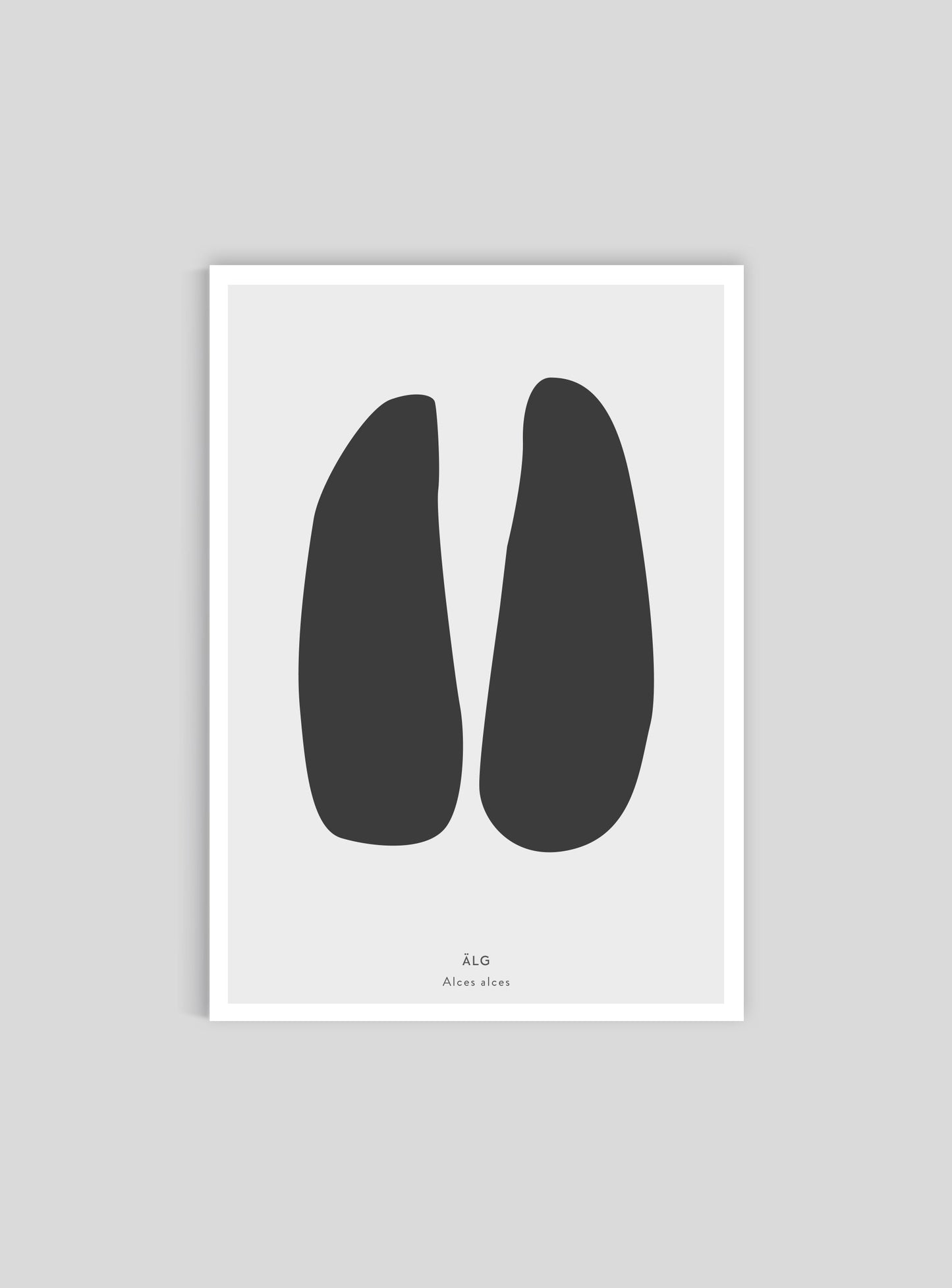 Älgspår - Mini print A5 - Kunskapstavlan