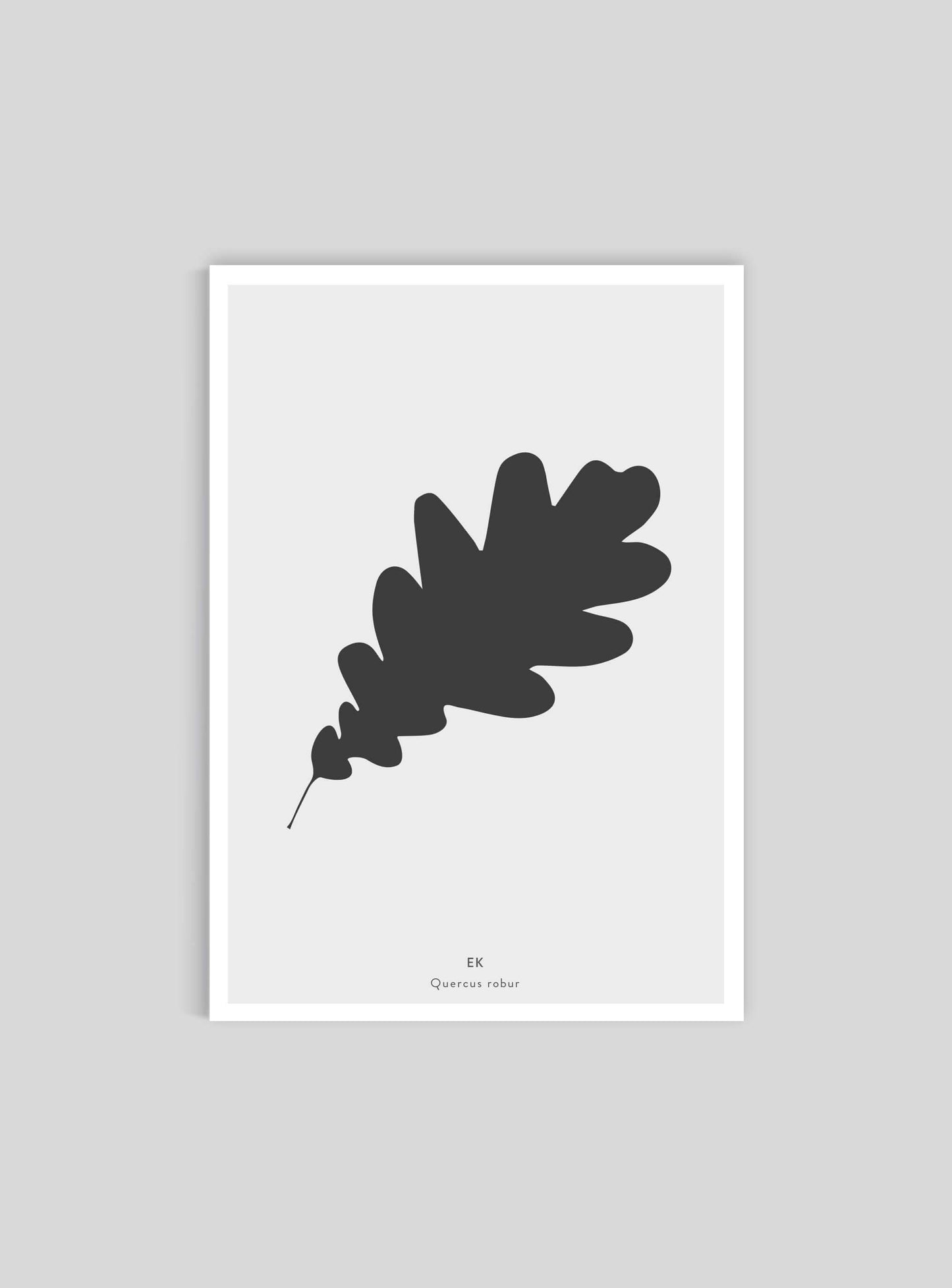 Eklöv - Mini print A5 - Kunskapstavlan