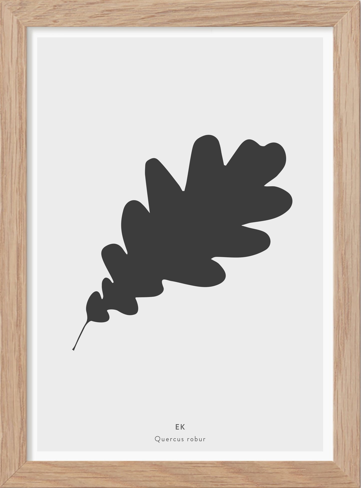 Eklöv - Mini print A5 - Kunskapstavlan