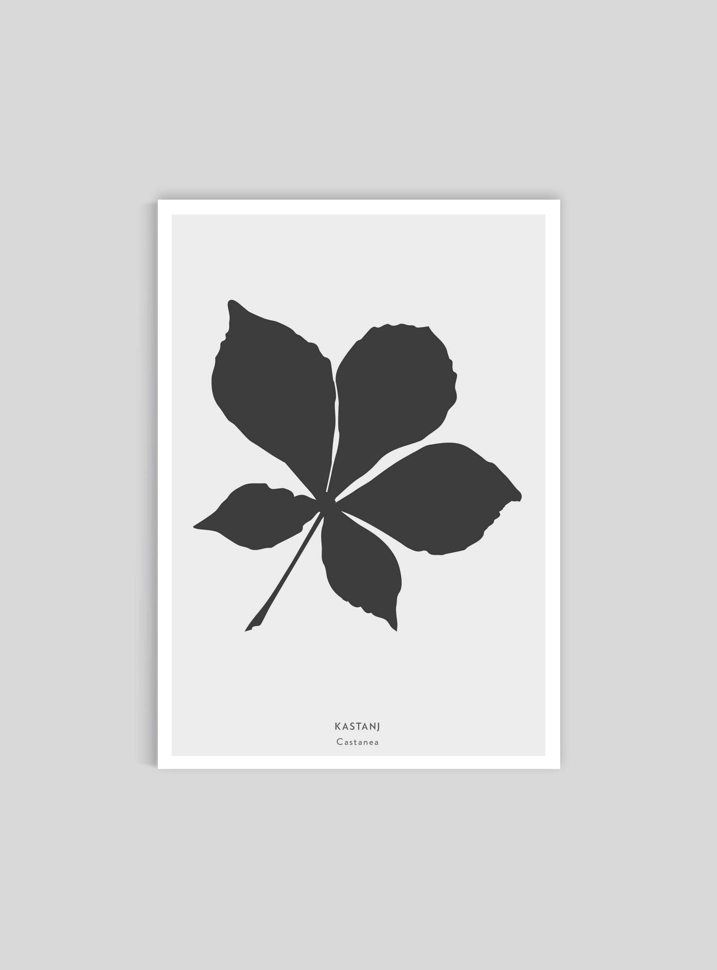 Kastanjelöv - Mini print A5 - Kunskapstavlan