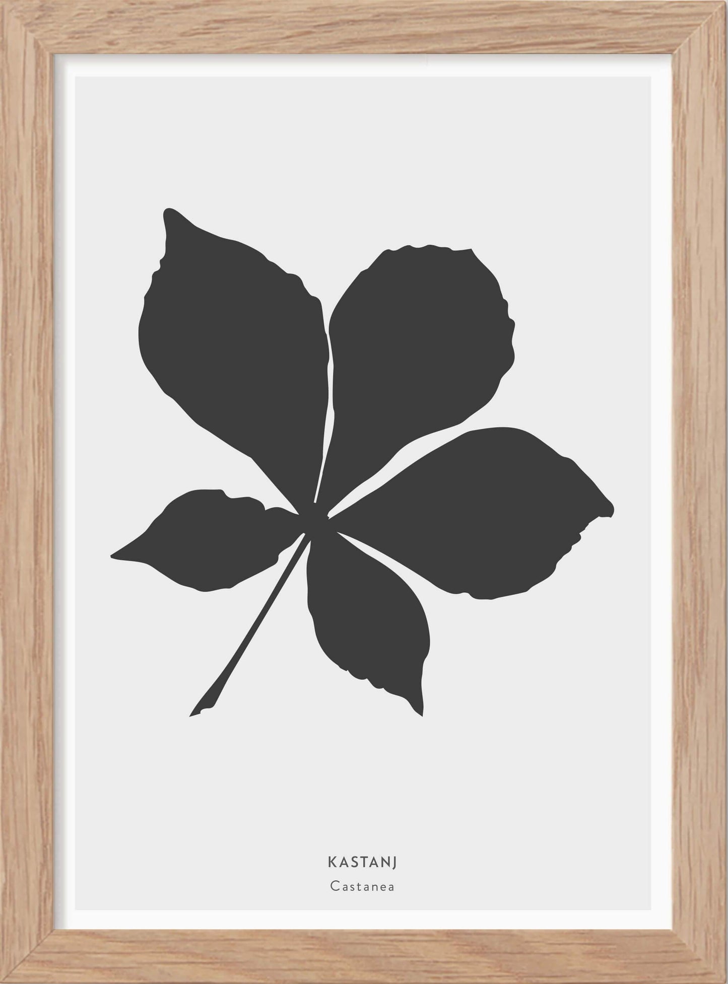 Kastanjelöv - Mini print A5 - Kunskapstavlan
