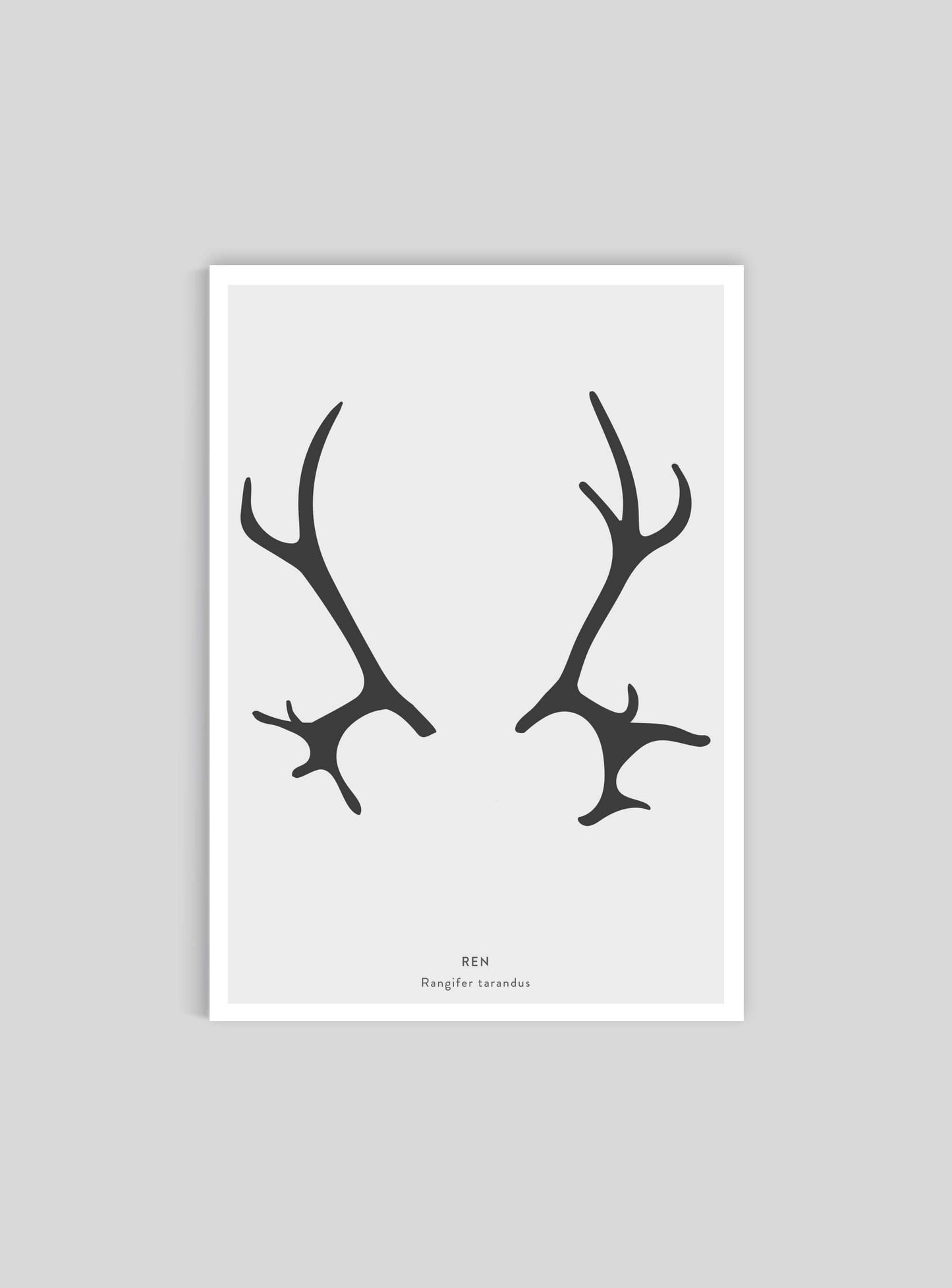 Renhorn - Mini print A5 - Kunskapstavlan