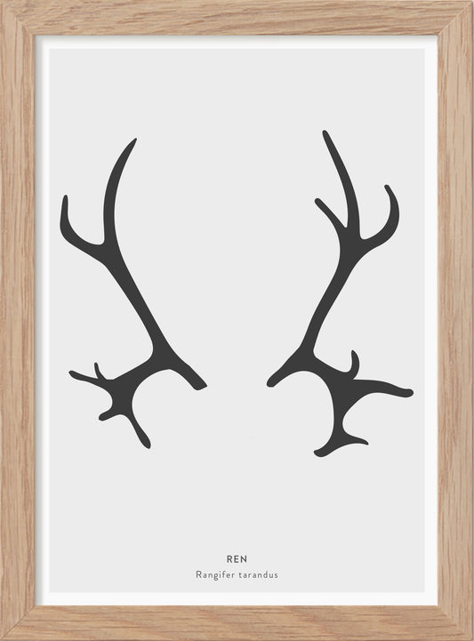Renhorn - Mini print A5 - Kunskapstavlan