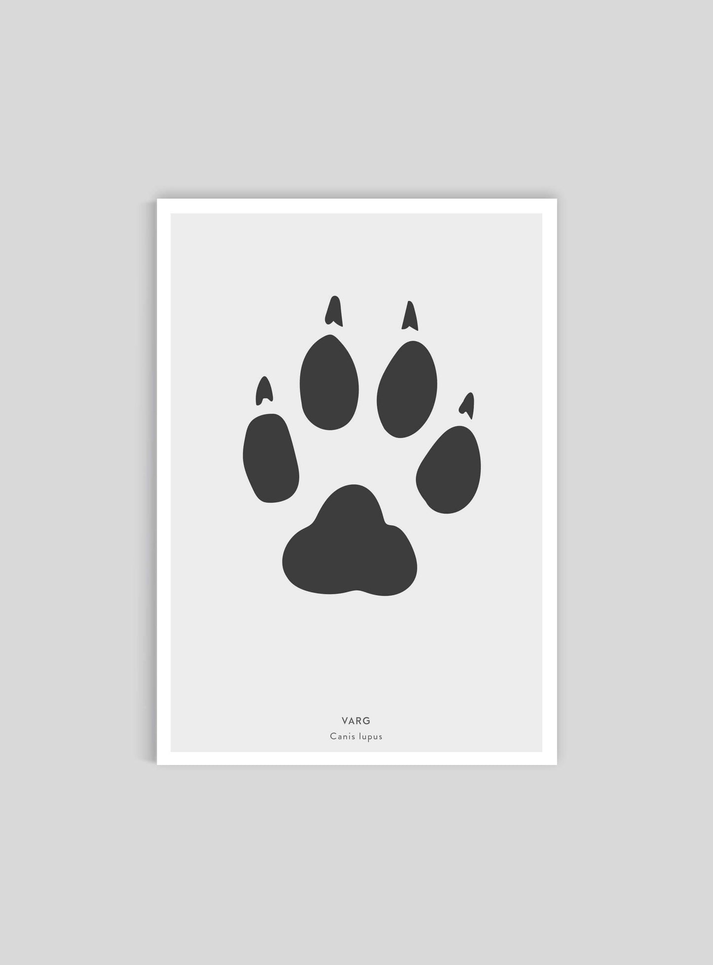 Vargspår - Mini print A5 - Kunskapstavlan