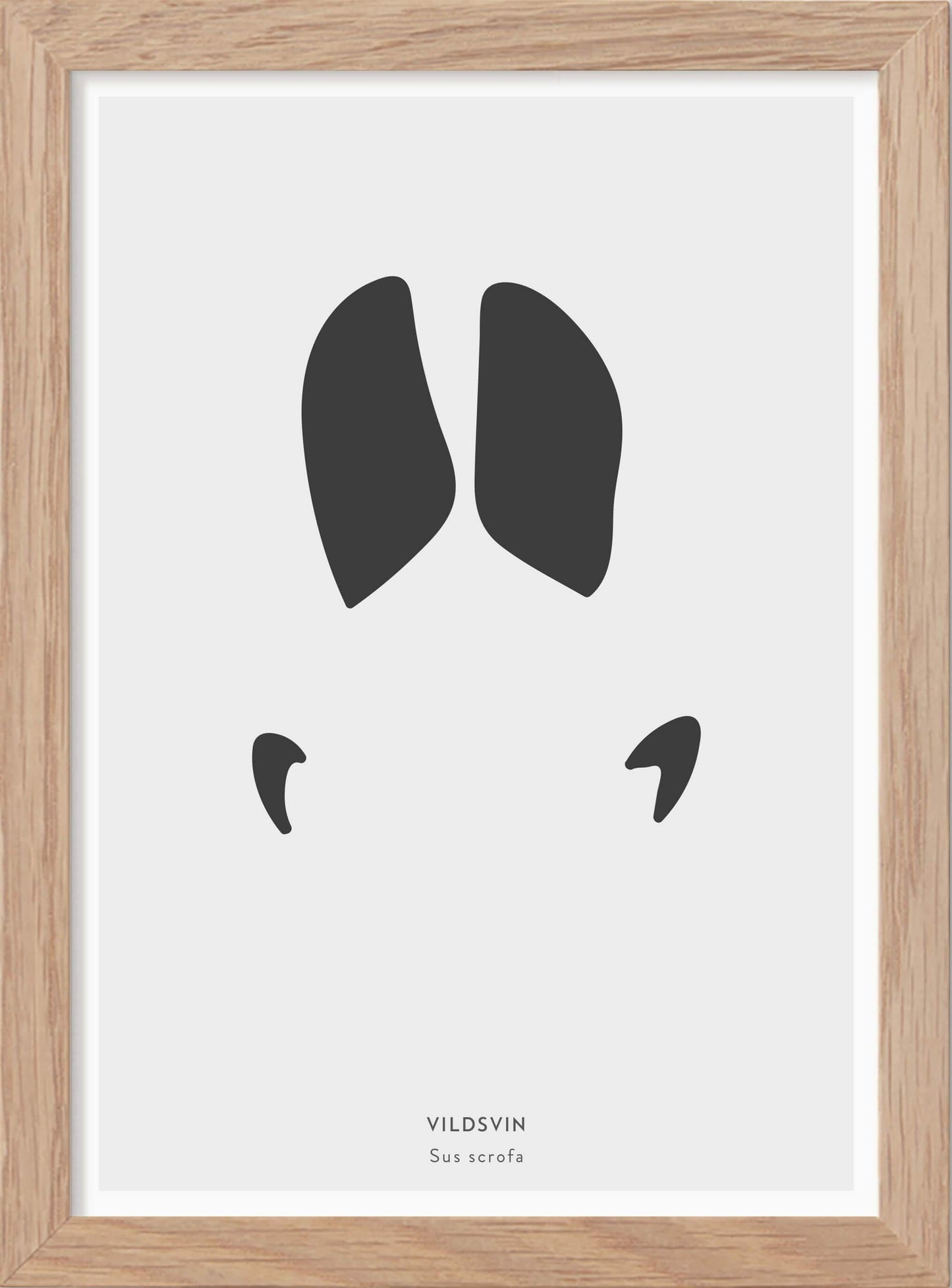 Vildsvinsspår - Mini print A5 - Kunskapstavlan