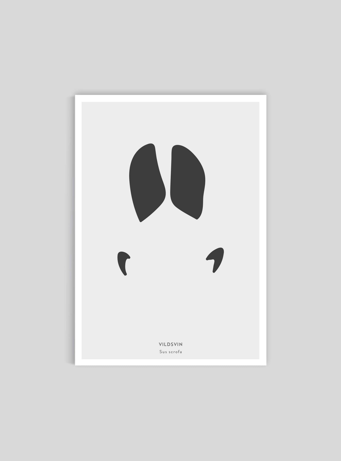 Vildsvinsspår - Mini print A5 - Kunskapstavlan