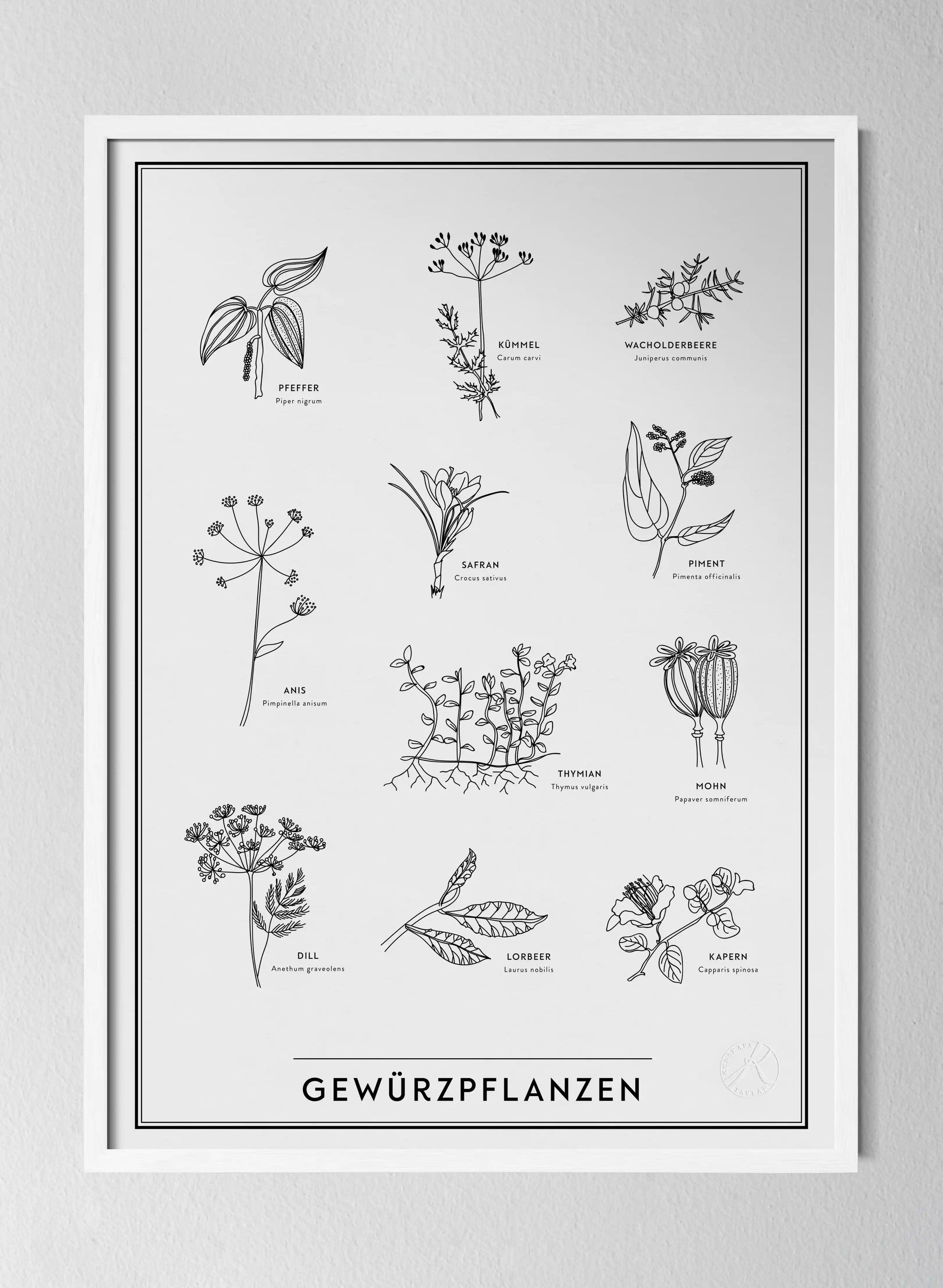 Classic White Pinewood Frame