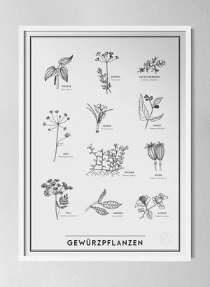 Classic White Pinewood Frame