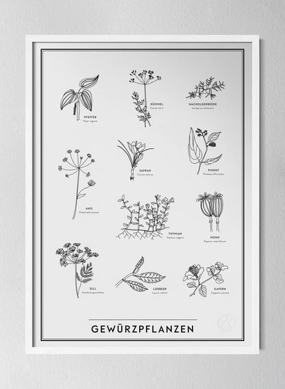 Classic White Pinewood Frame