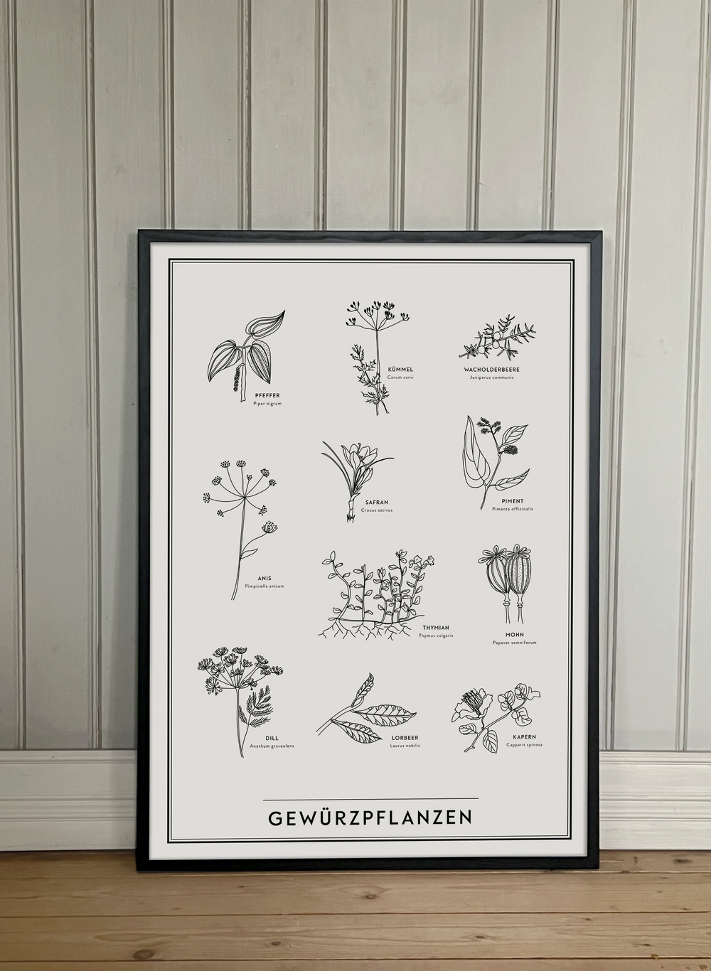 Gewürzpflanzen
