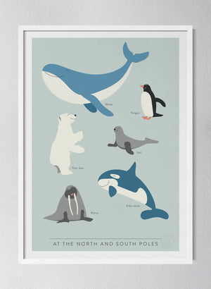 Classic White Pinewood Frame