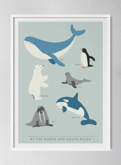 Classic White Pinewood Frame