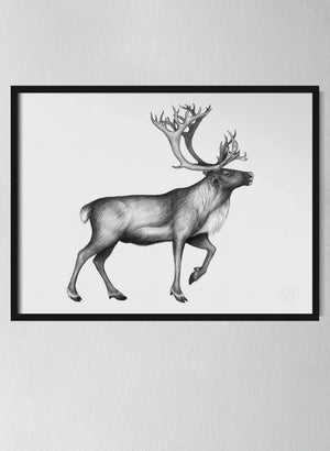 Classic Black Pinewood Frame