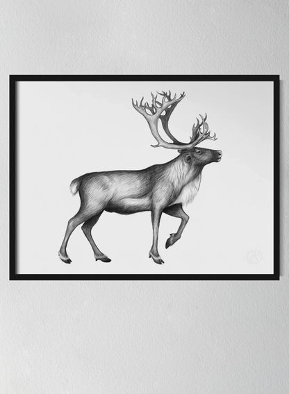 Classic Black Pinewood Frame