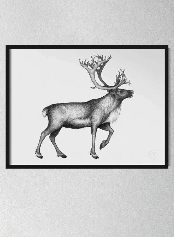 Classic Black Pinewood Frame