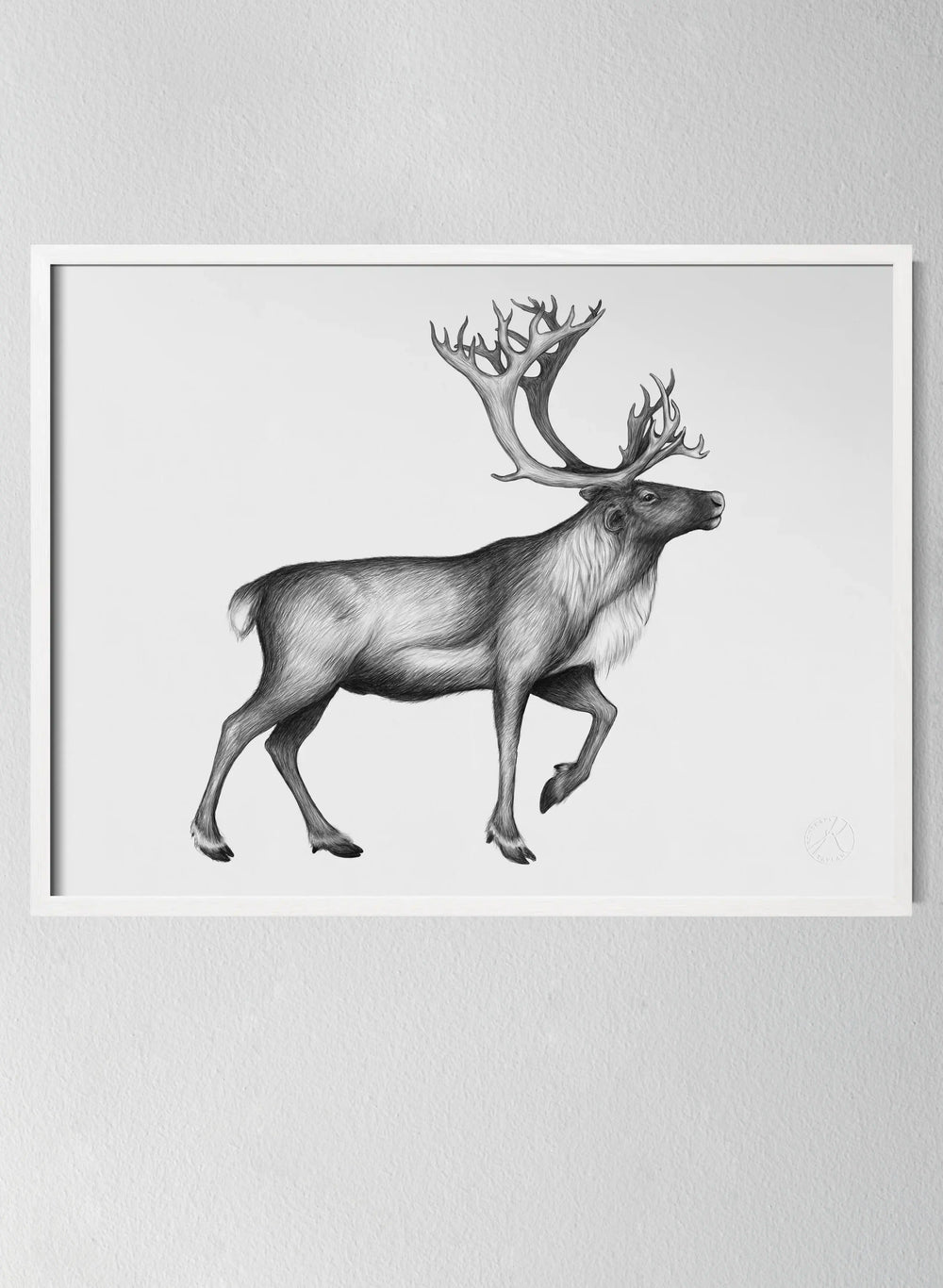 The Reindeer