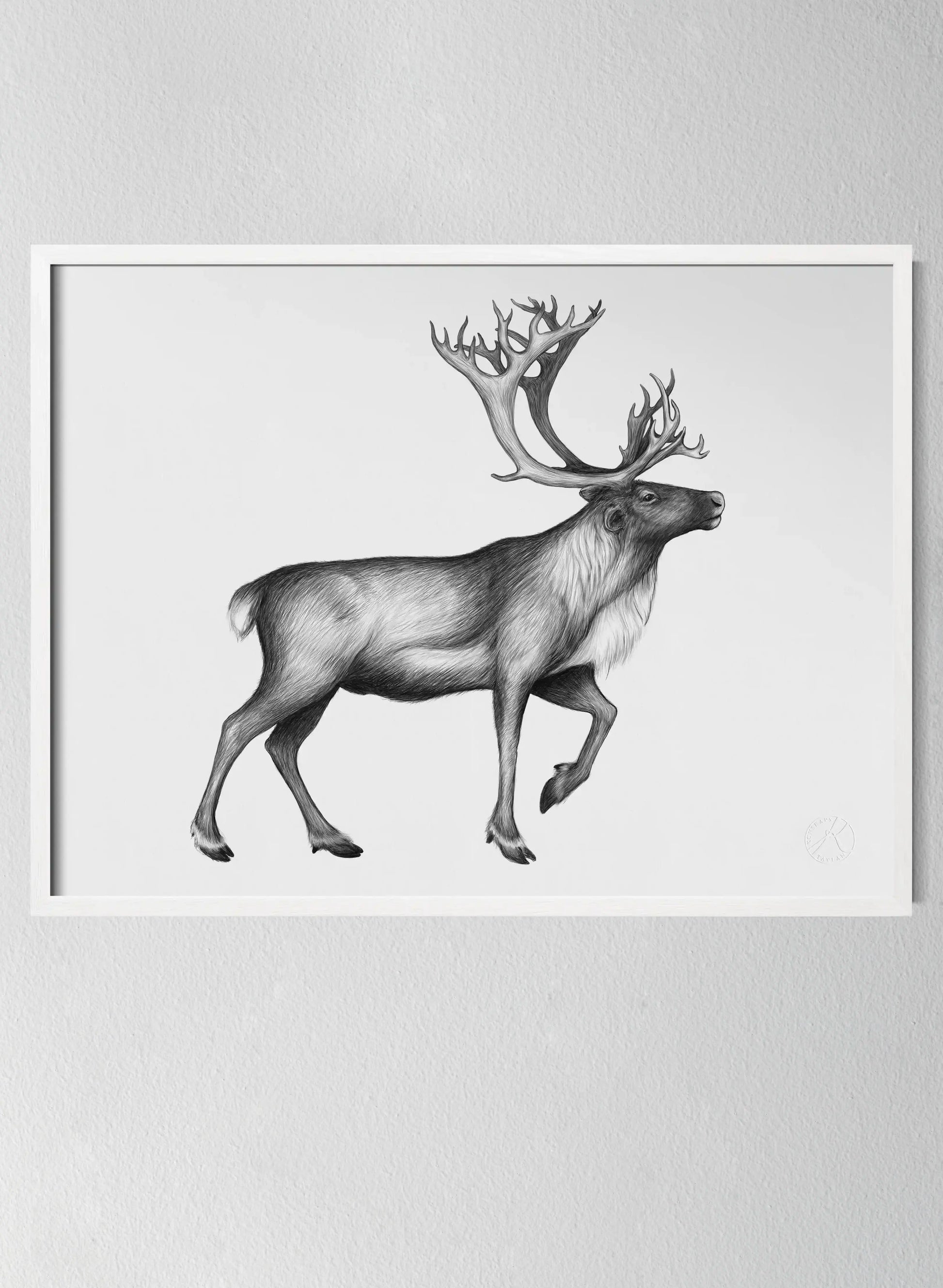 Classic White Pinewood Frame