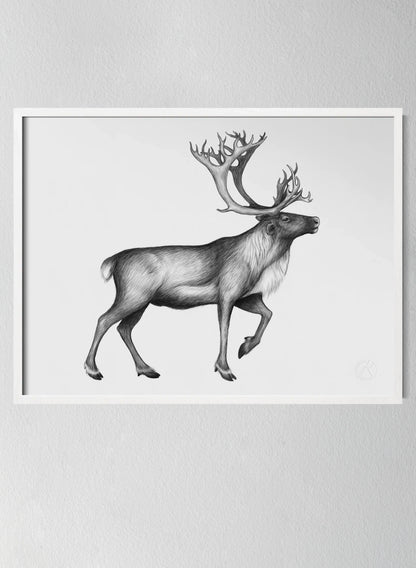 Classic White Pinewood Frame