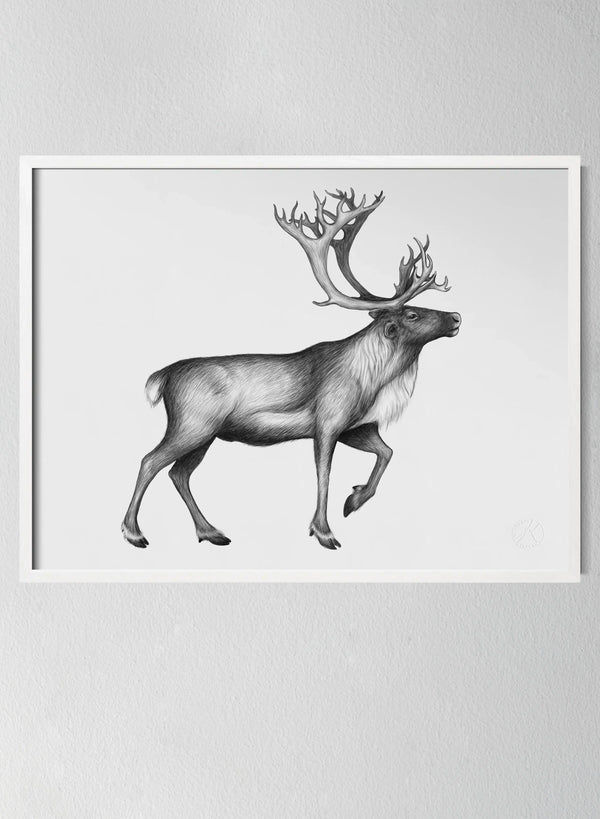 Classic White Pinewood Frame