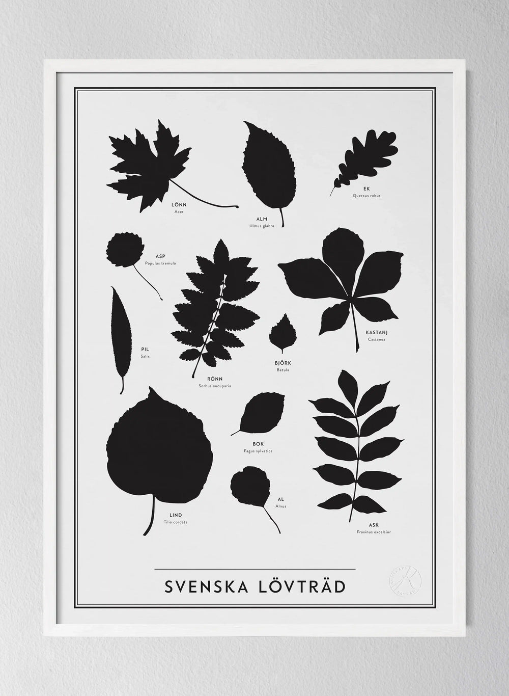 Classic Oak Frame