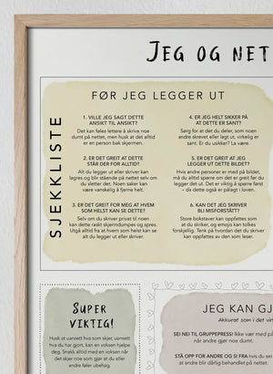 Jeg og nettet