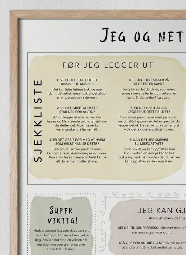 Jeg og nettet