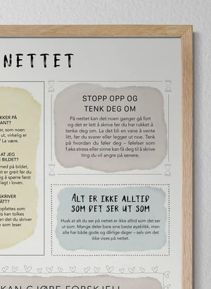 Jeg og nettet