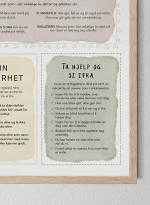 Jeg og nettet