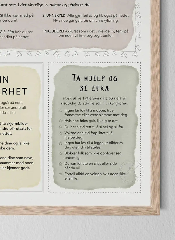 Jeg og nettet