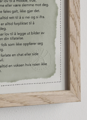 Jeg og nettet