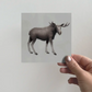 Greeting Card 3-pack - The Moose