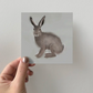 Greeting Card 3-pack - The Hare