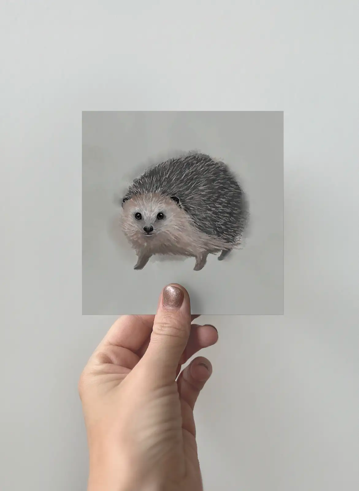 The Hedgehog, 3-pack