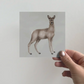 Greeting Card 3-pack - The Deer