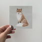 Greeting Card 3-pack - The Fox