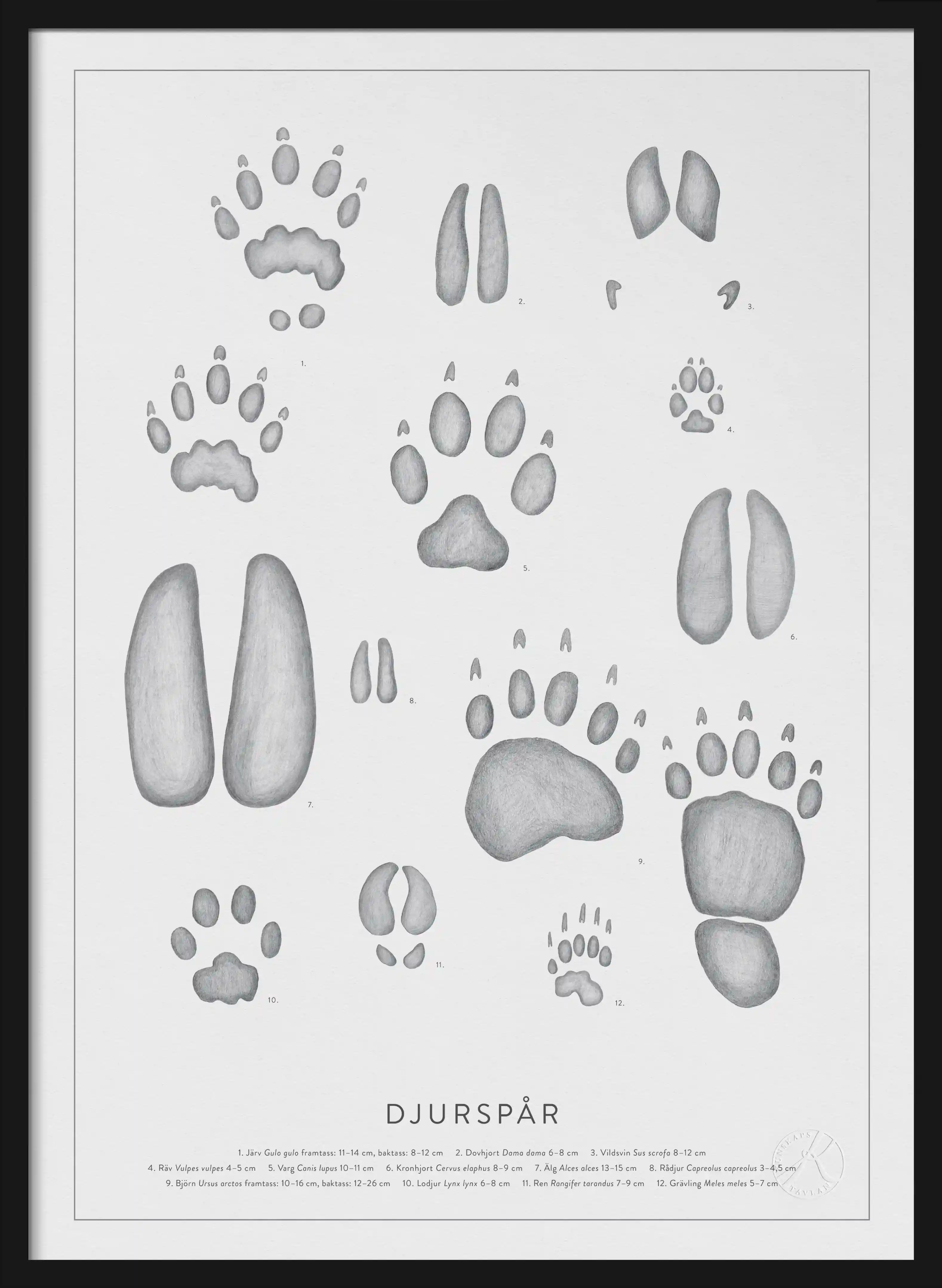 Camera & Animal Footprint Logo - Turbologo Logo Maker