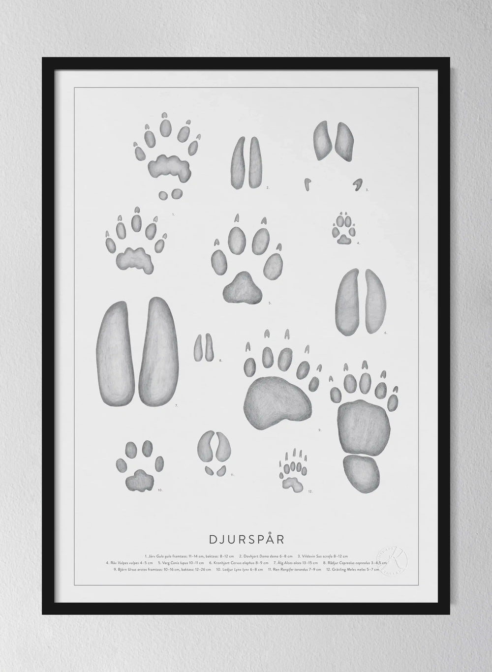 Djurspår - Animal Tracks in Swedish