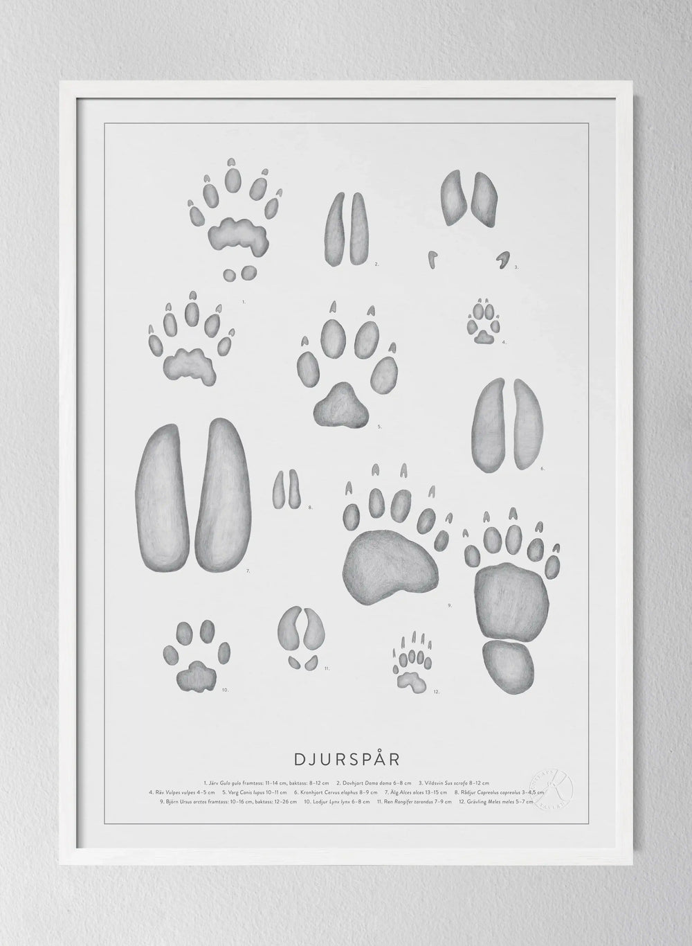 Djurspår - Animal Tracks in Swedish