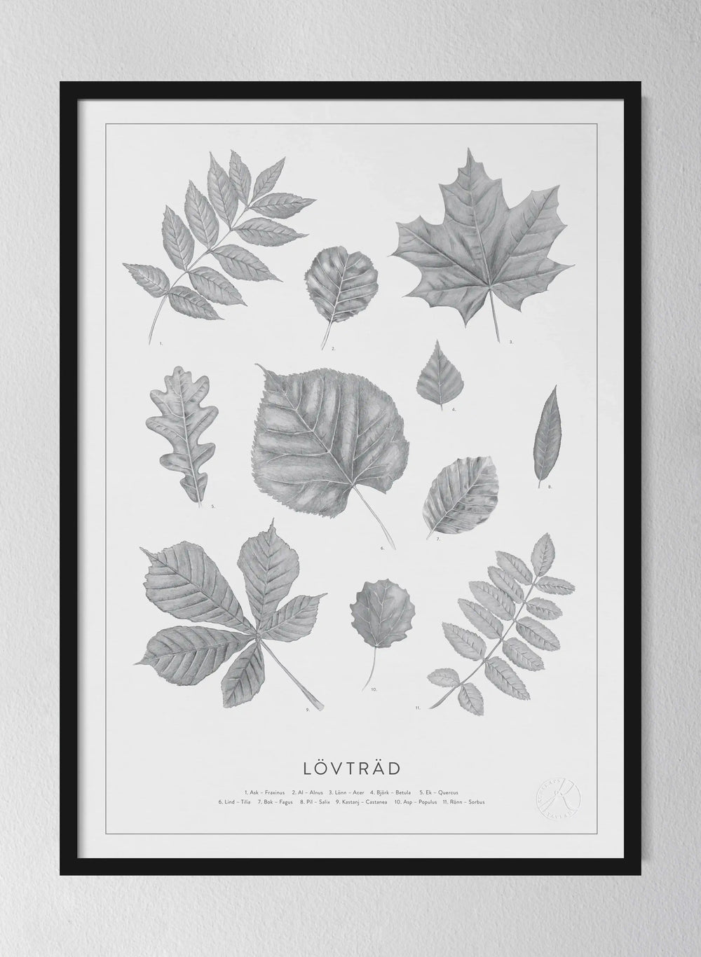 Classic Oak Frame