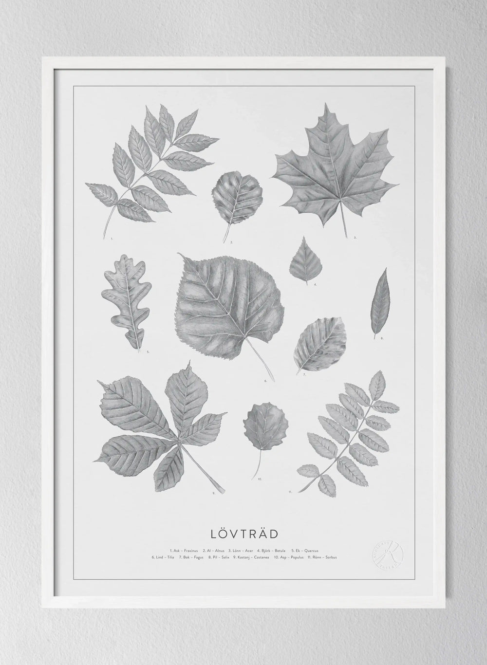Classic Oak Frame